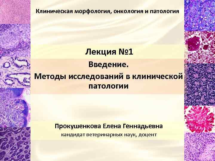 Клиническая патология. Клиническая морфология это. Слайды по клинической патологии.