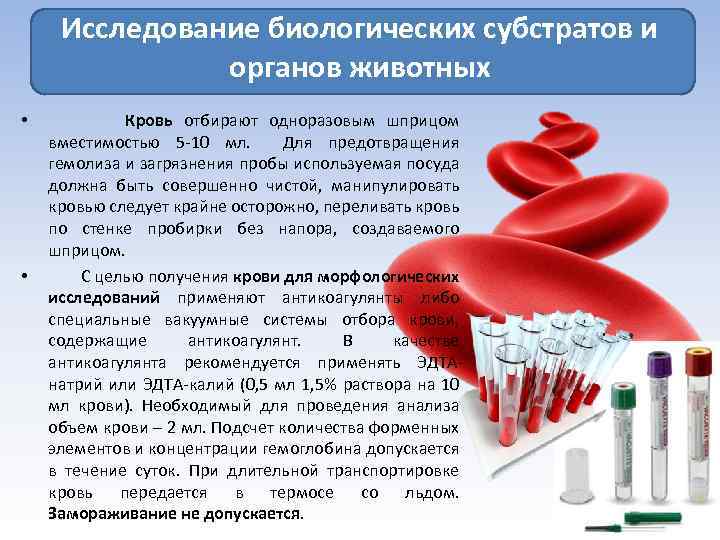 Исследование биологических субстратов и органов животных • • Кровь отбирают одноразовым шприцом вместимостью 5