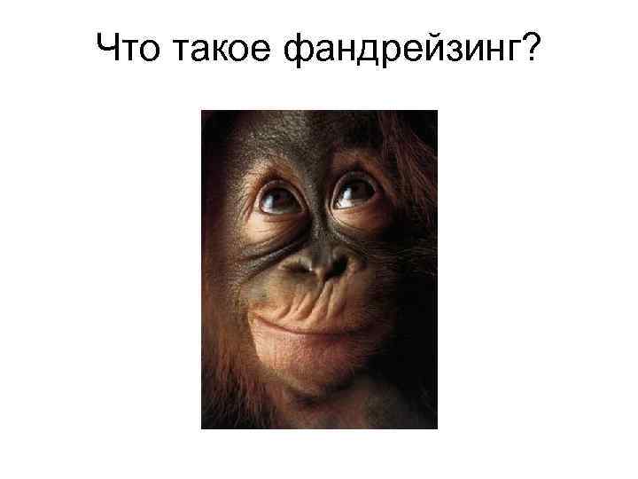 Что такое фандрейзинг? 