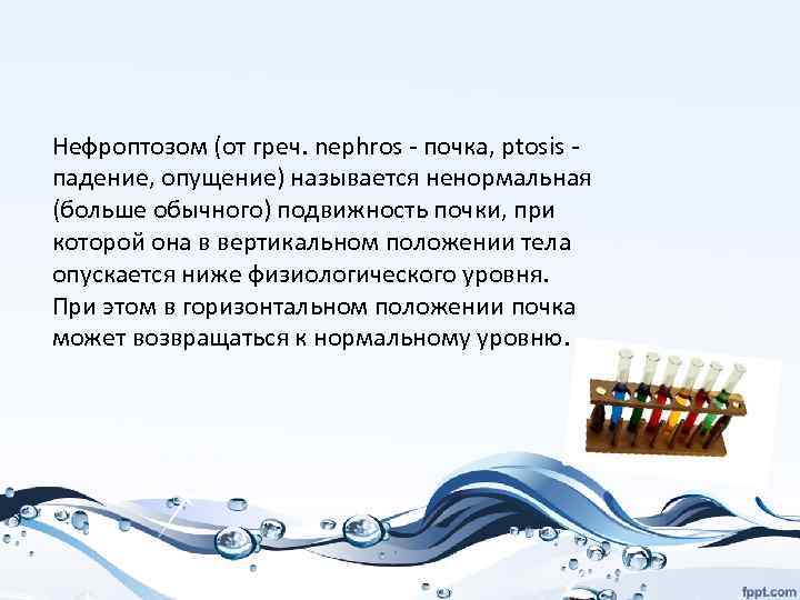 Нефроптозом (от греч. nephros - почка, ptosis - падение, опущение) называется ненормальная (больше обычного)