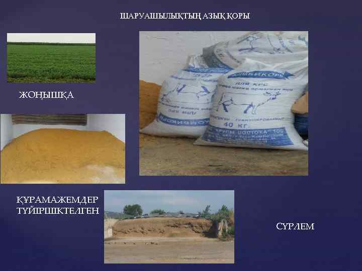 ШАРУАШЫЛЫҚТЫҢ АЗЫҚ ҚОРЫ ЖОҢЫШҚА ҚҰРАМАЖЕМДЕР ТҮЙІРШІКТЕЛГЕН СҮРЛЕМ 