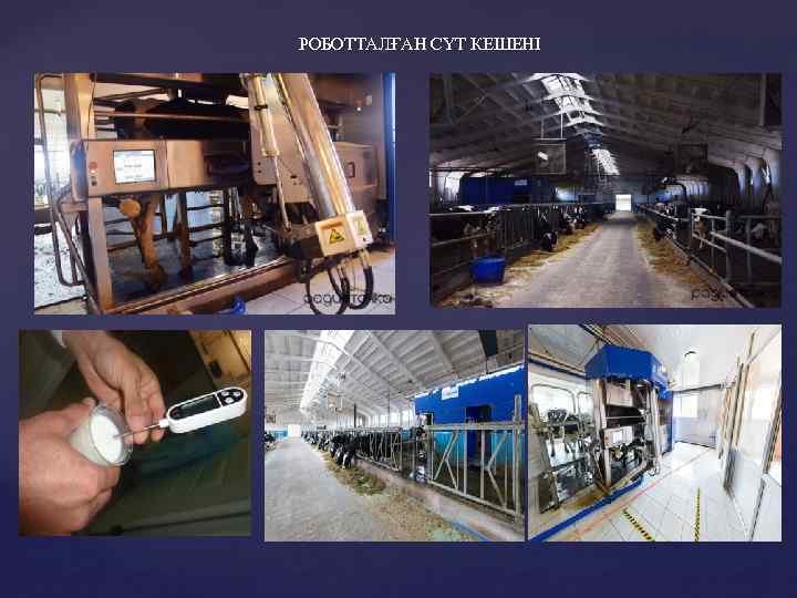 РОБОТТАЛҒАН СҮТ КЕШЕНІ 