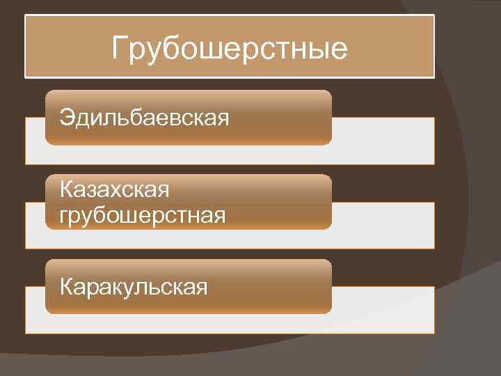 Грубошерстные Эдильбаевская Казахская грубошерстная Каракульская 