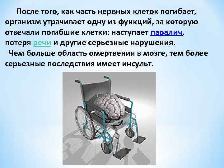  После того, как часть нервных клеток погибает, организм утрачивает одну из функций, за