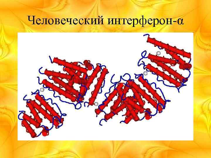 Человеческий интерферон-α 