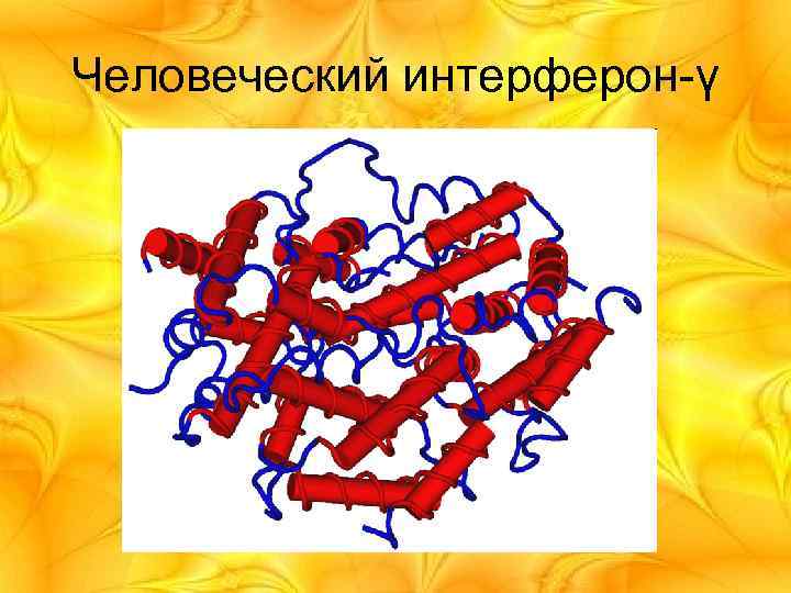 Человеческий интерферон-γ 