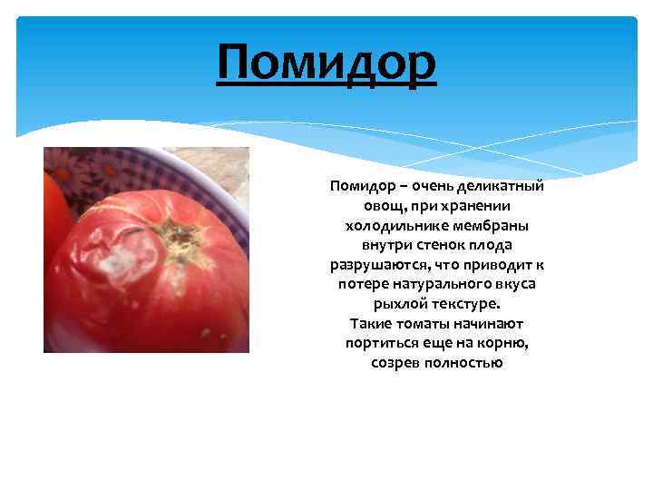 Помидор – очень деликатный овощ, при хранении холодильнике мембраны внутри стенок плода разрушаются, что