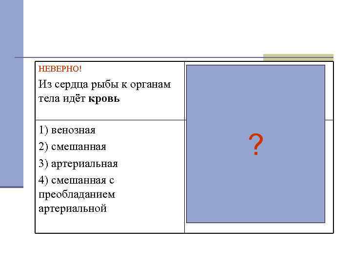 НЕВЕРНО! Из сердца рыбы к органам тела идёт кровь Кровь, идущая из сердца рыбы
