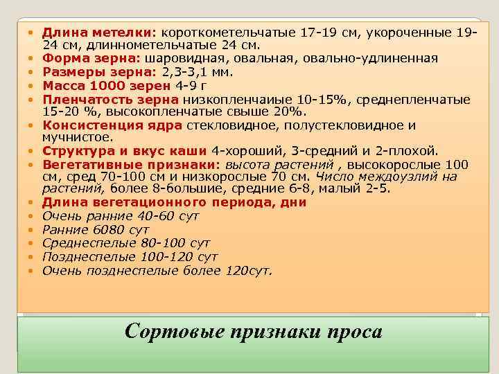  Длина метелки: короткометельчатые 17 -19 см, укороченные 1924 см, длиннометельчатые 24 см. Форма