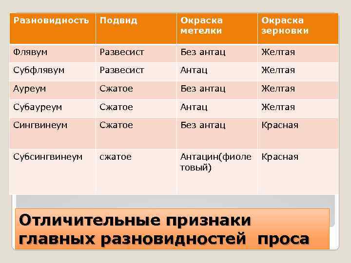 Разновидность Подвид Окраска метелки Окраска зерновки Флявум Развесист Без антац Желтая Субфлявум Развесист Антац