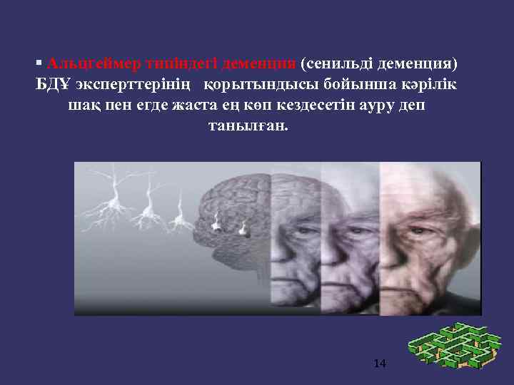 Деменция. Деменция презентация. Презентация по теме деменция. Ранняя деменция.