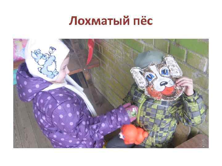 Лохматый пёс 