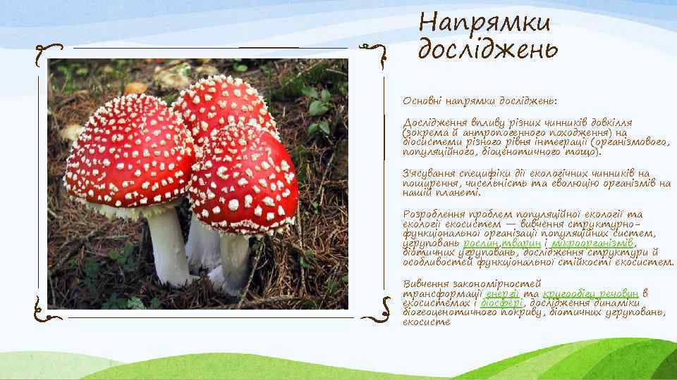 Напрямки досліджень Основні напрямки досліджень: Дослідження впливу різних чинників довкілля (зокрема й антропогенного походження)