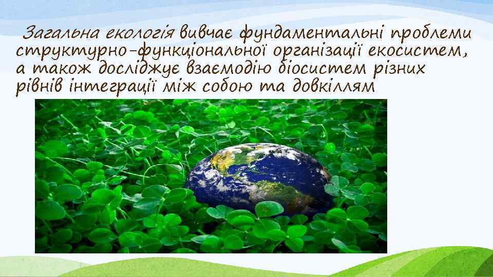 Загальна екологія вивчає фундаментальні проблеми структурно-функціональної організації екосистем, а також досліджує взаємодію біосистем різних