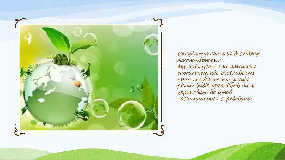 Спеціальна екологія досліджує закономірності функціонування конкретних екосистем або особливості пристосування популяцій різних видів організмів