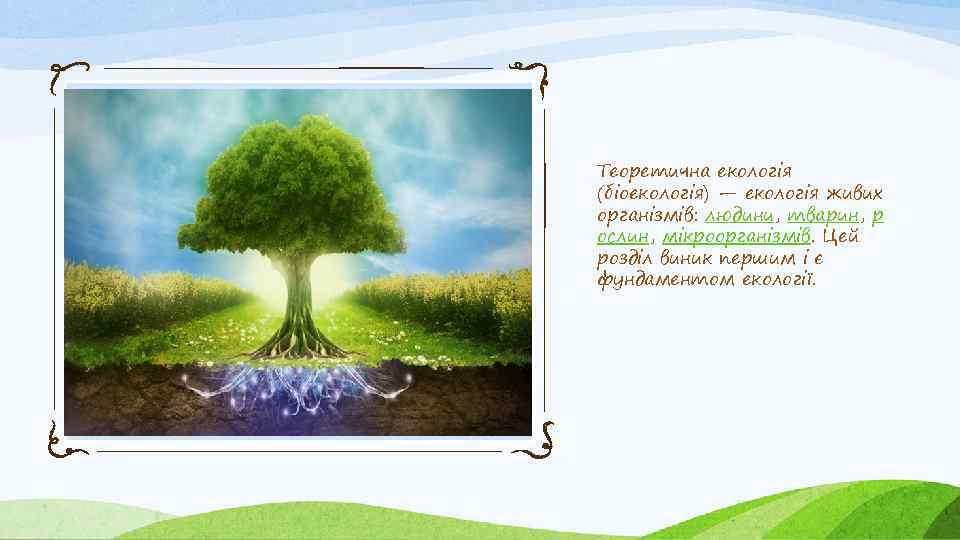 Теоретична екологія (біоекологія) — екологія живих організмів: людини, тварин, р ослин, мікроорганізмів. Цей розділ