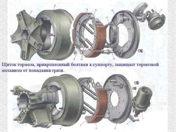 Щиток тормоза, прикрепленный болтами к суппорту, защищает тормозной механизм от попадания грязи. 