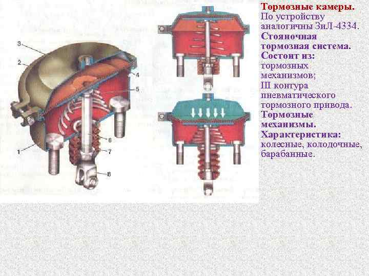 Тормозные камеры. По устройству аналогичны Зи. Л 4334. Стояночная тормозная система. Состоит из: тормозных