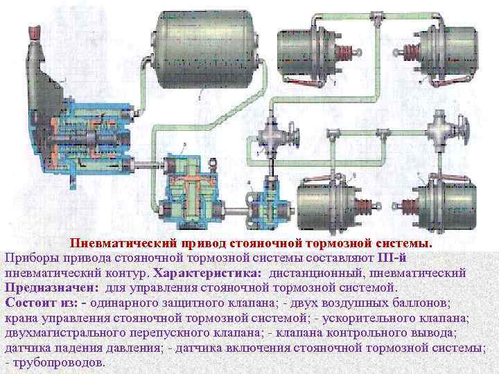 Пневматический привод стояночной тормозной системы. Приборы привода стояночной тормозной системы составляют III й пневматический