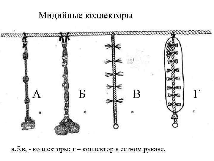 Мидийные коллекторы А Б В а, б, в, - коллекторы; г – коллектор в