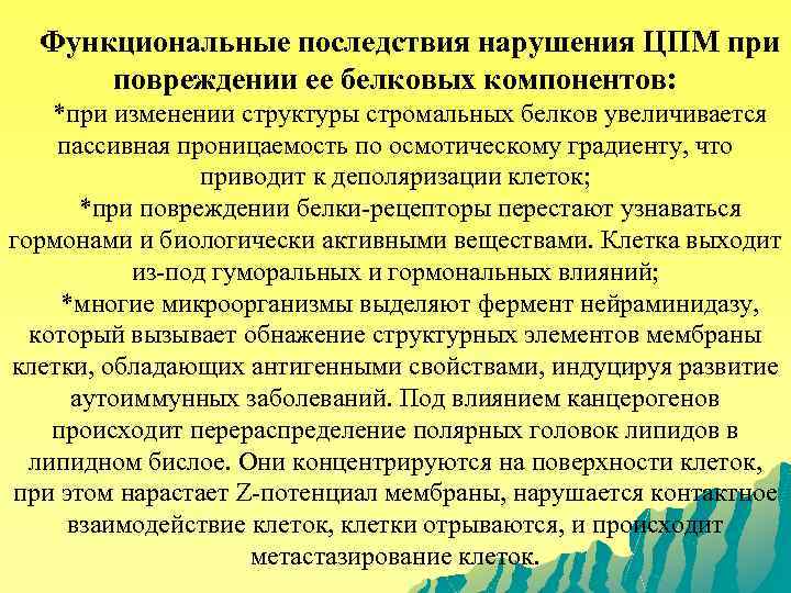 Функциональные последствия нарушения ЦПМ при повреждении ее белковых компонентов: *при изменении структуры стромальных белков