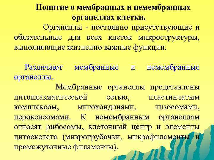 Понятие о мембранных и немембранных органеллах клетки. Органеллы - постоянно присутствующие и обязательные для
