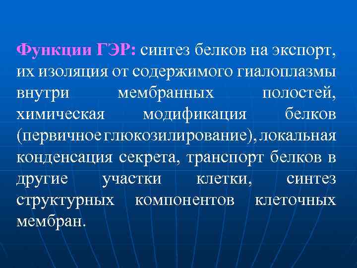 Функции ГЭР: синтез белков на экспорт, их изоляция от содержимого гиалоплазмы внутри мембранных полостей,