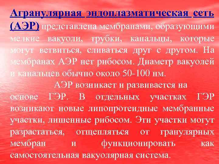 Агранулярная эндоплазматическая сеть (АЭР) представлена мембранами, образующими мелкие вакуоли, трубки, канальцы, которые могут ветвиться,