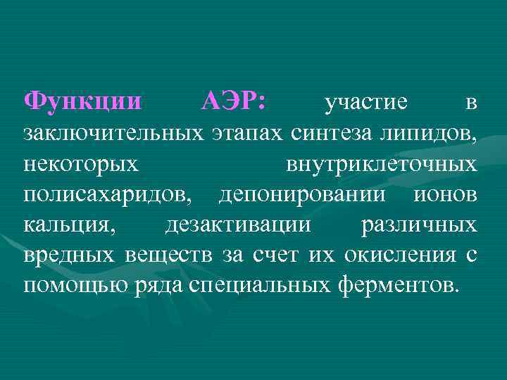 Функции АЭР: участие в заключительных этапах синтеза липидов, некоторых внутриклеточных полисахаридов, депонировании ионов кальция,