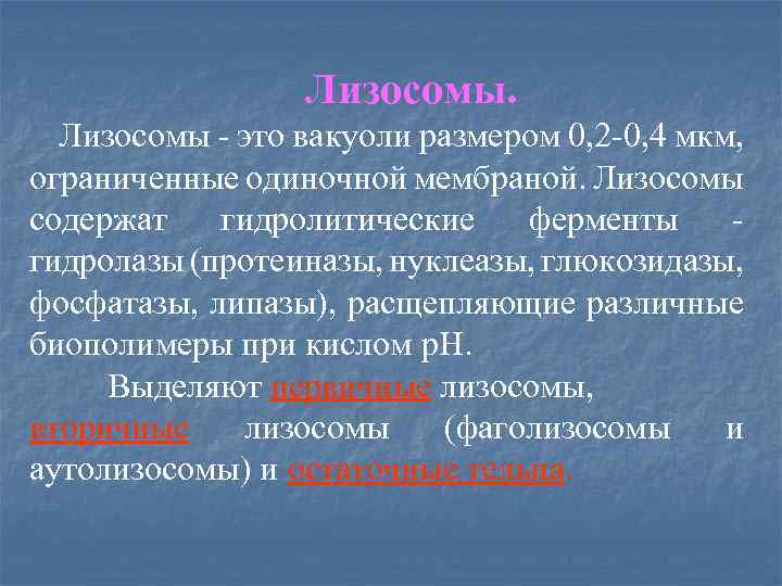 Лизосомы - это вакуоли размером 0, 2 -0, 4 мкм, ограниченные одиночной мембраной. Лизосомы