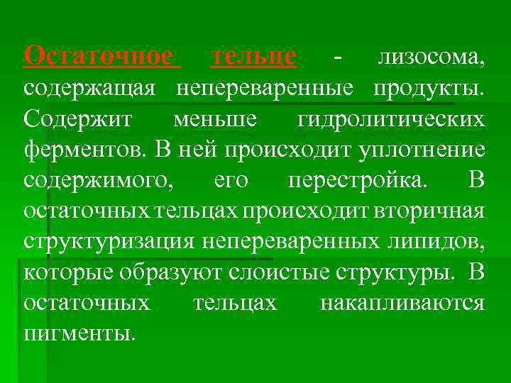 Остаточное тельце - лизосома, содержащая непереваренные продукты. Содержит меньше гидролитических ферментов. В ней происходит