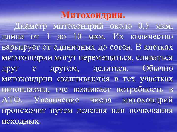 Митохондрии. Диаметр митохондрий около 0, 5 мкм, длина от 1 до 10 мкм. Их