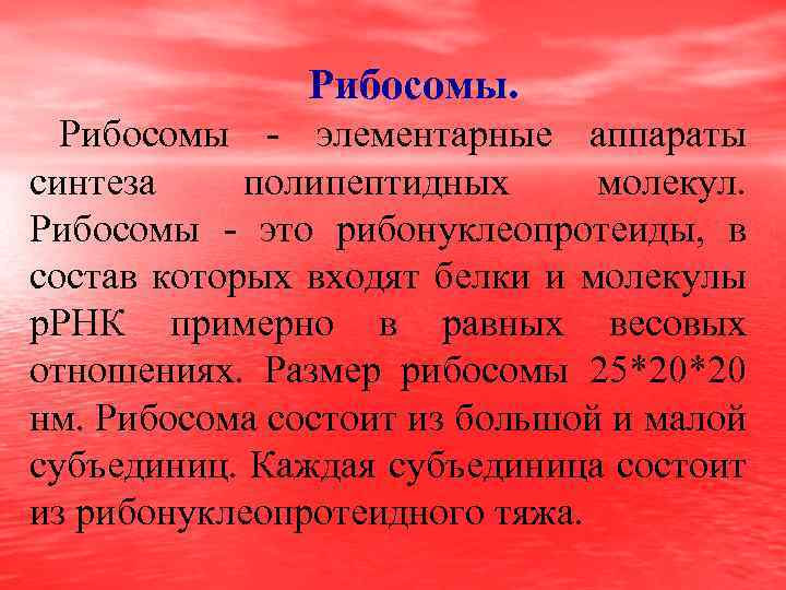 Рибосомы - элементарные аппараты синтеза полипептидных молекул. Рибосомы - это рибонуклеопротеиды, в состав которых
