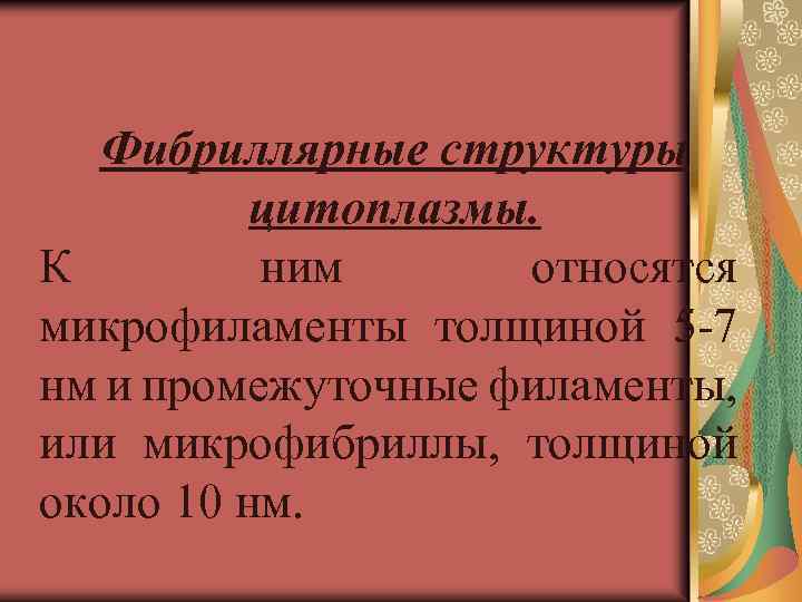 Фибриллярные структуры цитоплазмы. К ним относятся микрофиламенты толщиной 5 -7 нм и промежуточные филаменты,