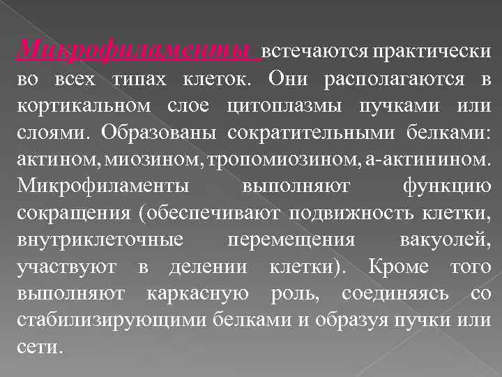 Микрофиламенты встечаются практически во всех типах клеток. Они располагаются в кортикальном слое цитоплазмы пучками