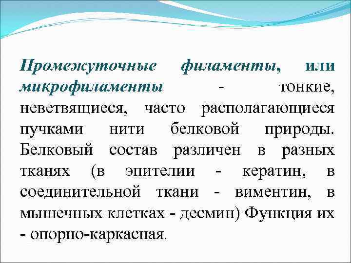 Промежуточные филаменты, или микрофиламенты тонкие, неветвящиеся, часто располагающиеся пучками нити белковой природы. Белковый состав