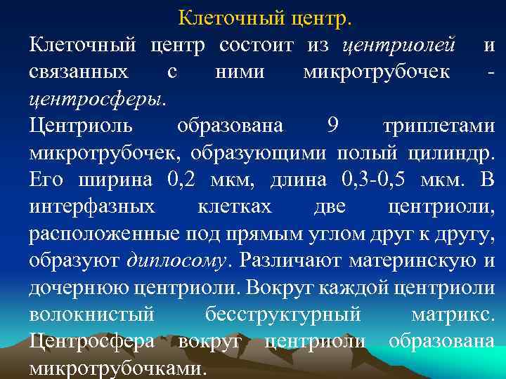 Клеточный центр состоит из центриолей и связанных с ними микротрубочек центросферы. Центриоль образована 9