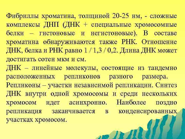 Фибриллы хроматина, толщиной 20 -25 нм, - сложные комплексы ДНП (ДНК + специальные хромосомные