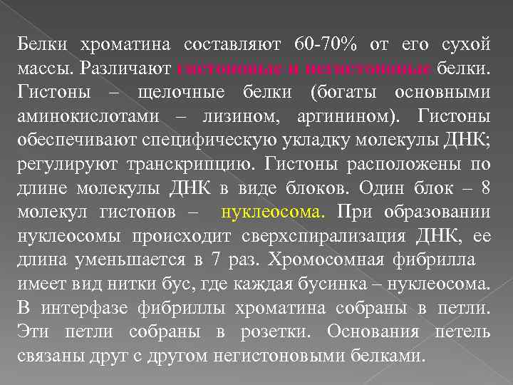 Белки хроматина составляют 60 -70% от его сухой массы. Различают гистоновые и негистоновые белки.