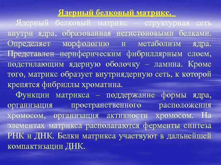 Ядерный белковый матрикс – структурная сеть внутри ядра, образованная негистоновыми белками. Определяет морфологию и