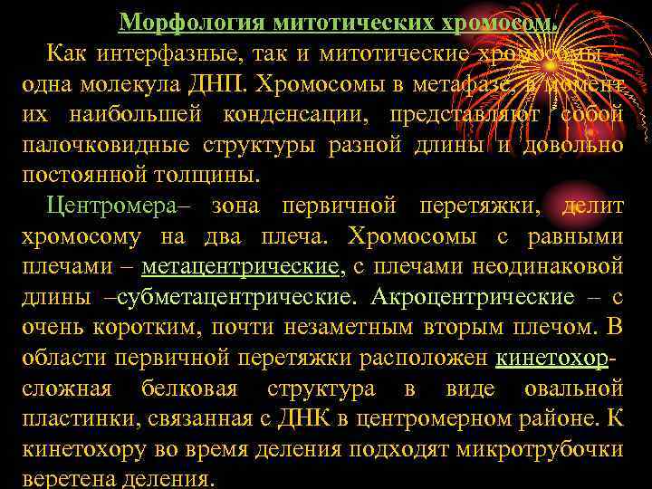 Морфология митотических хромосом. Как интерфазные, так и митотические хромосомы – одна молекула ДНП. Хромосомы