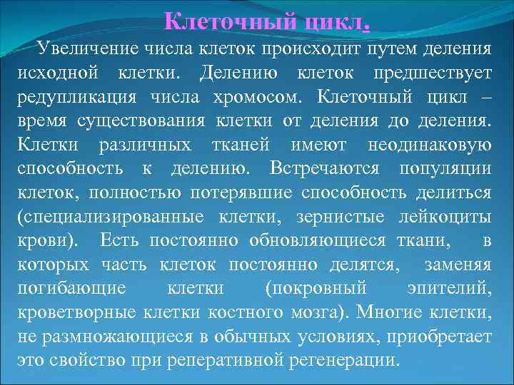 Клеточный цикл. Увеличение числа клеток происходит путем деления исходной клетки. Делению клеток предшествует редупликация