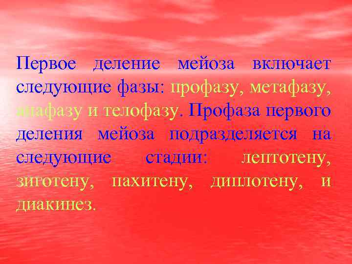 Первое деление мейоза включает следующие фазы: профазу, метафазу, анафазу и телофазу. Профаза первого деления