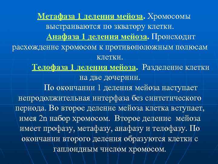 Метафаза 1 деления мейоза. Хромосомы выстраиваются по зкватору клетки. Анафаза 1 деления мейоза. Происходит