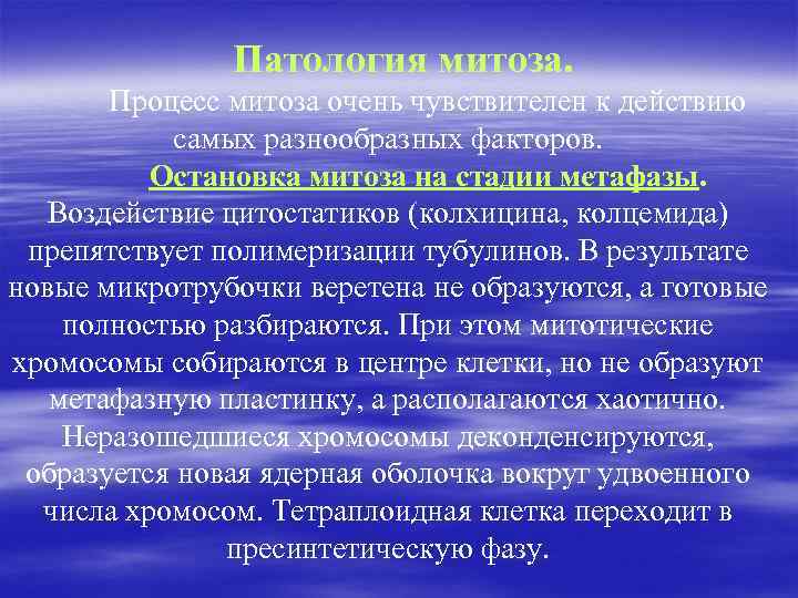 Патология митоза. Процесс митоза очень чувствителен к действию самых разнообразных факторов. Остановка митоза на