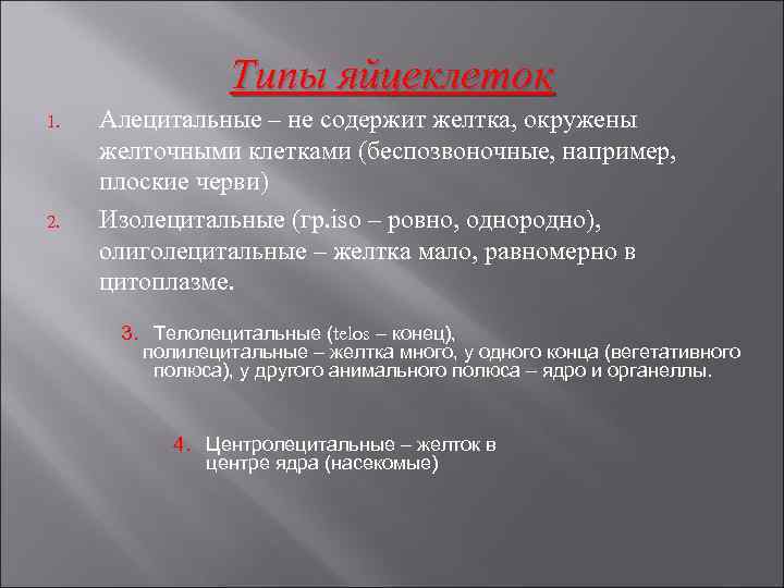 Типы яйцеклеток 1. 2. Алецитальные – не содержит желтка, окружены желточными клетками (беспозвоночные, например,