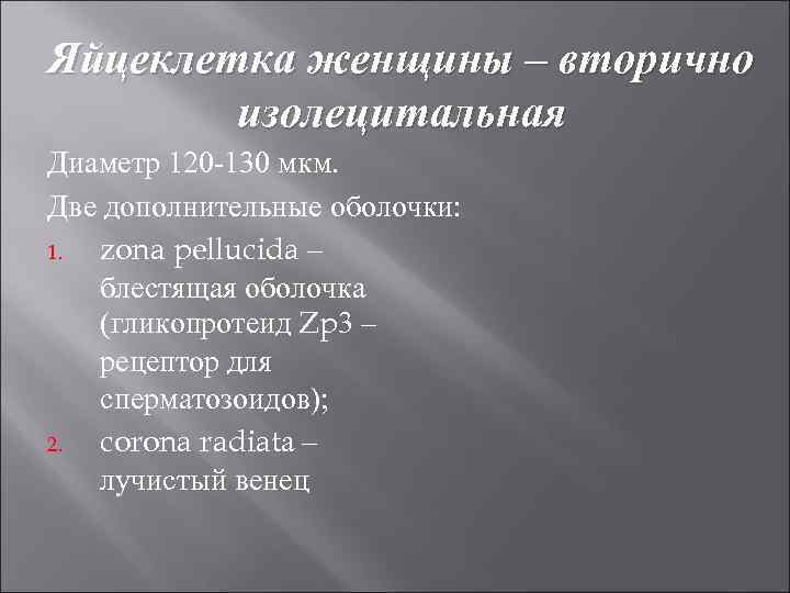 Яйцеклетка женщины – вторично изолецитальная Диаметр 120 -130 мкм. Две дополнительные оболочки: 1. zona