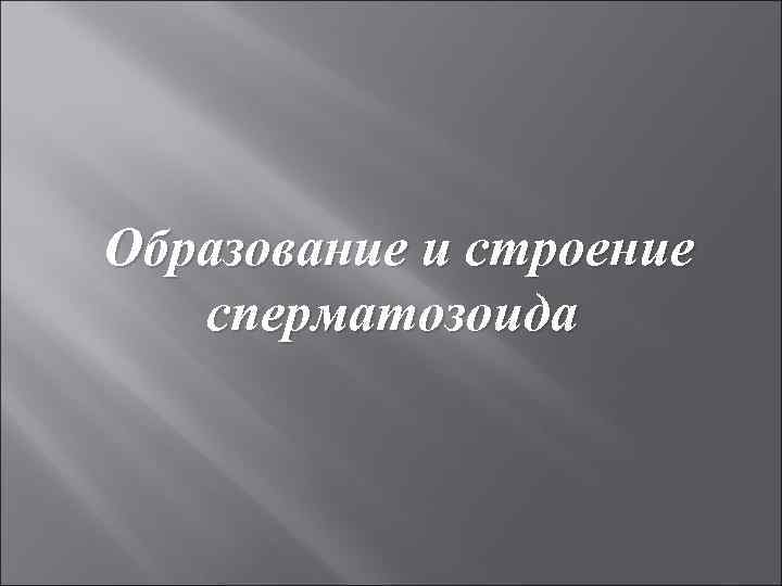 Образование и строение сперматозоида 