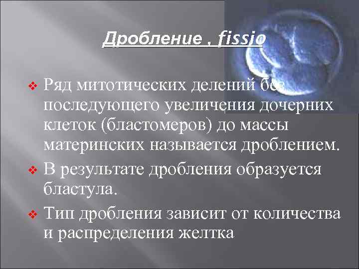 Дробление , fissio Ряд митотических делений без последующего увеличения дочерних клеток (бластомеров) до массы