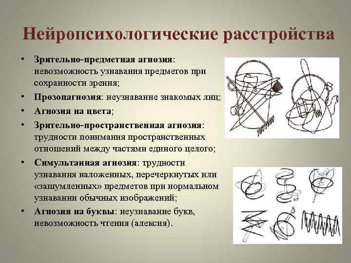 Нейропсихологические расстройства • Зрительно-предметная агнозия: невозможность узнавания предметов при сохранности зрения; • Прозопагнозия: неузнавание